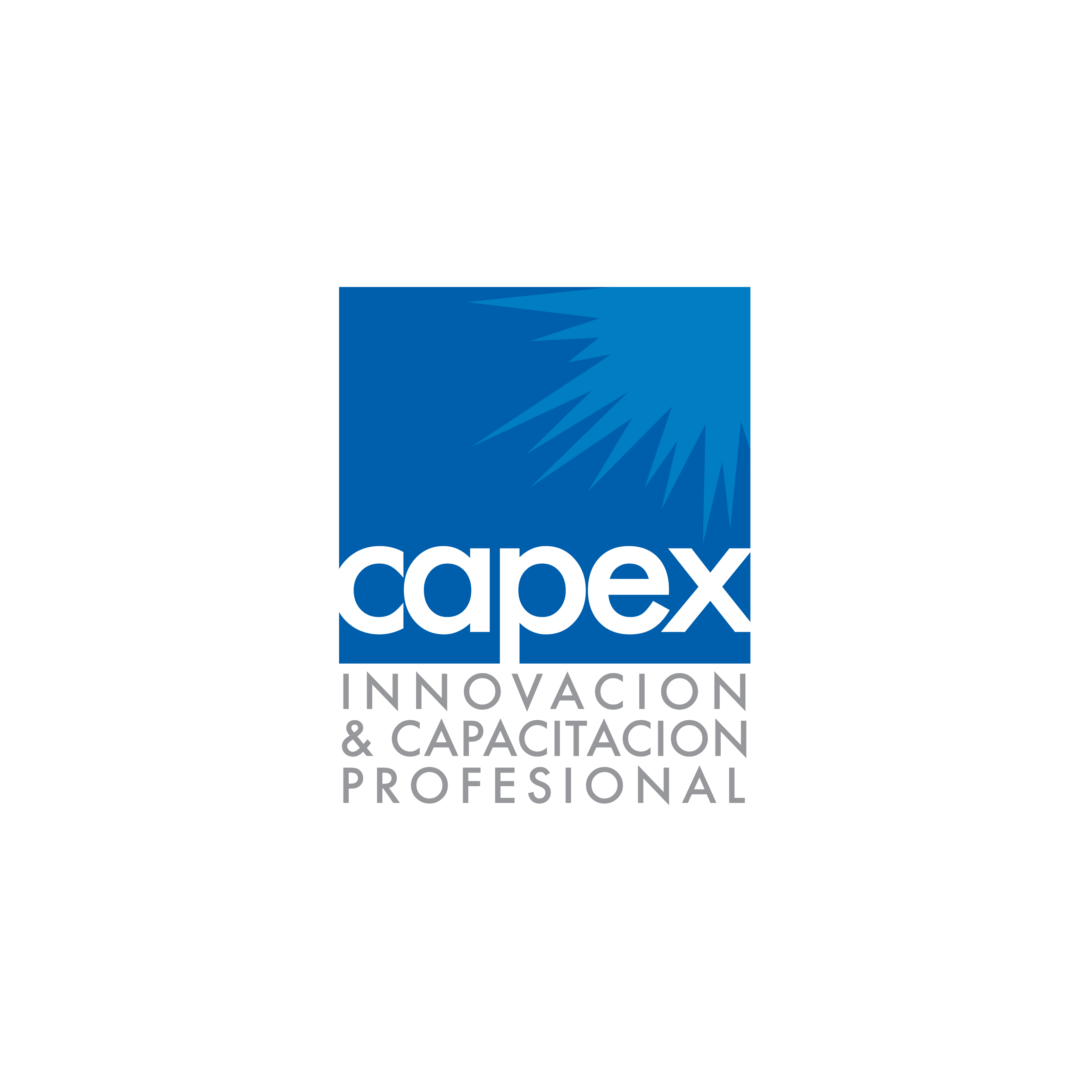 CAPEX Innovación & Capacitación Profesional