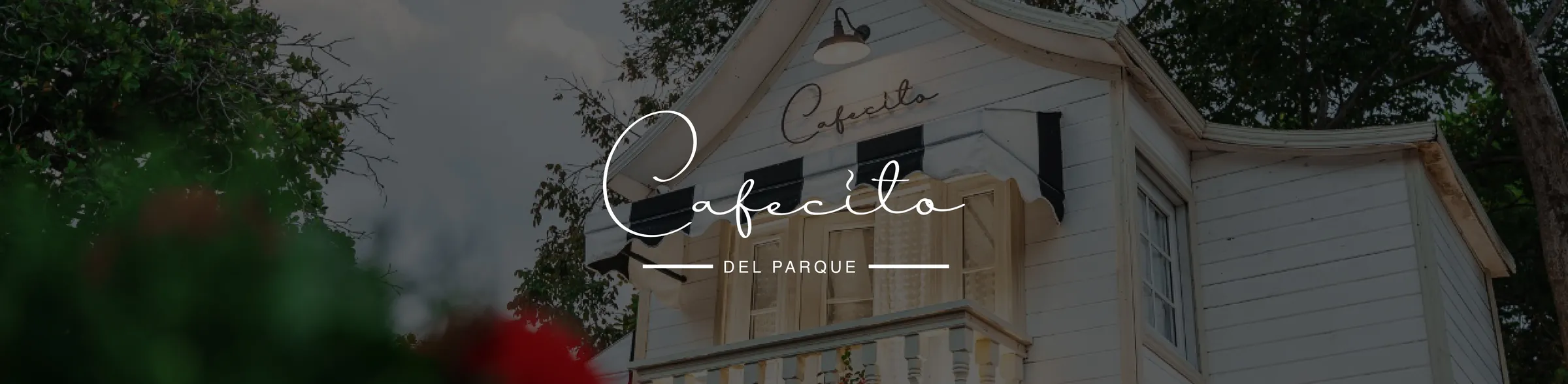 Banner de Oferta